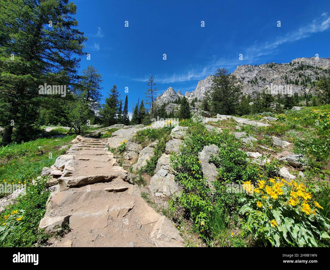 stepped-inspiration-point-trail-that-overlooks-jenny-lake-trail-is