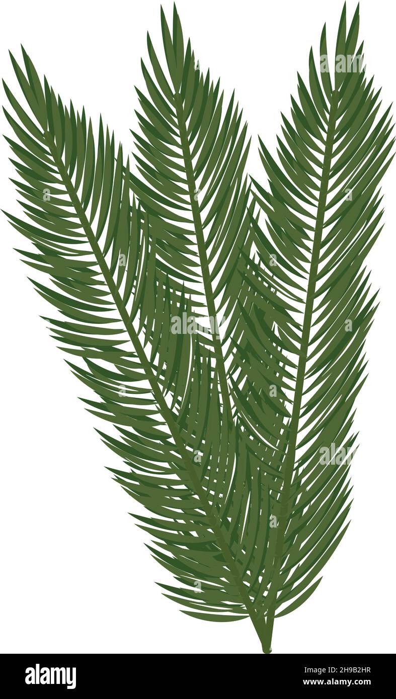 branch pine tree Stock Vector Image & Art - Alamy