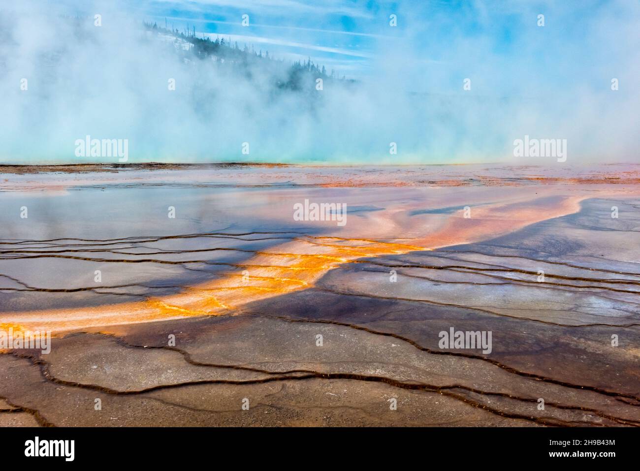 Grand Prismatic Spring, Midway Geyser Basin, Yellowstone National Park, Wyoming State, USA Stock Photo