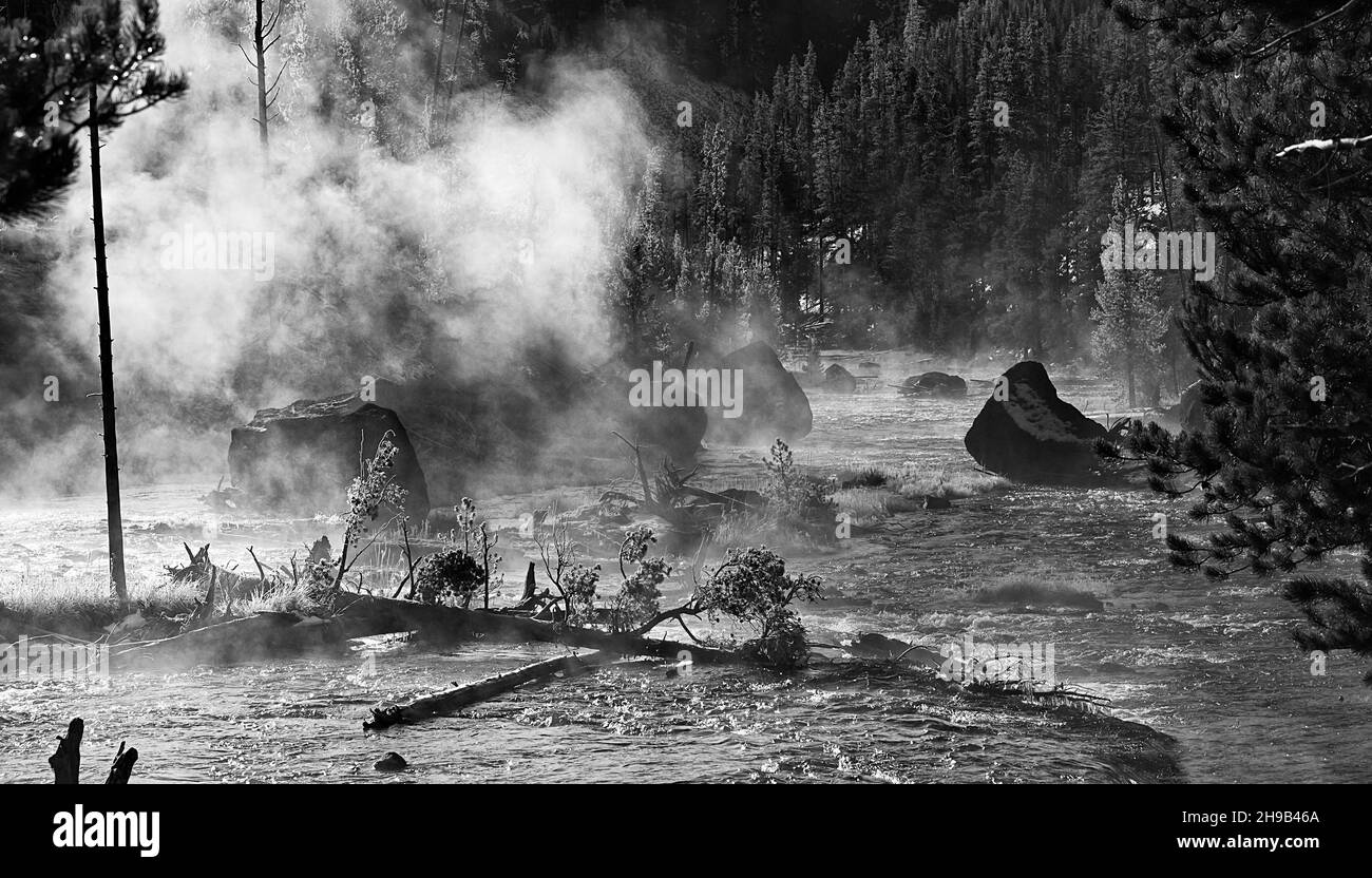 Creek in the mountain in morning fog, Yellowstone National Park, Wyoming State, USA Stock Photo
