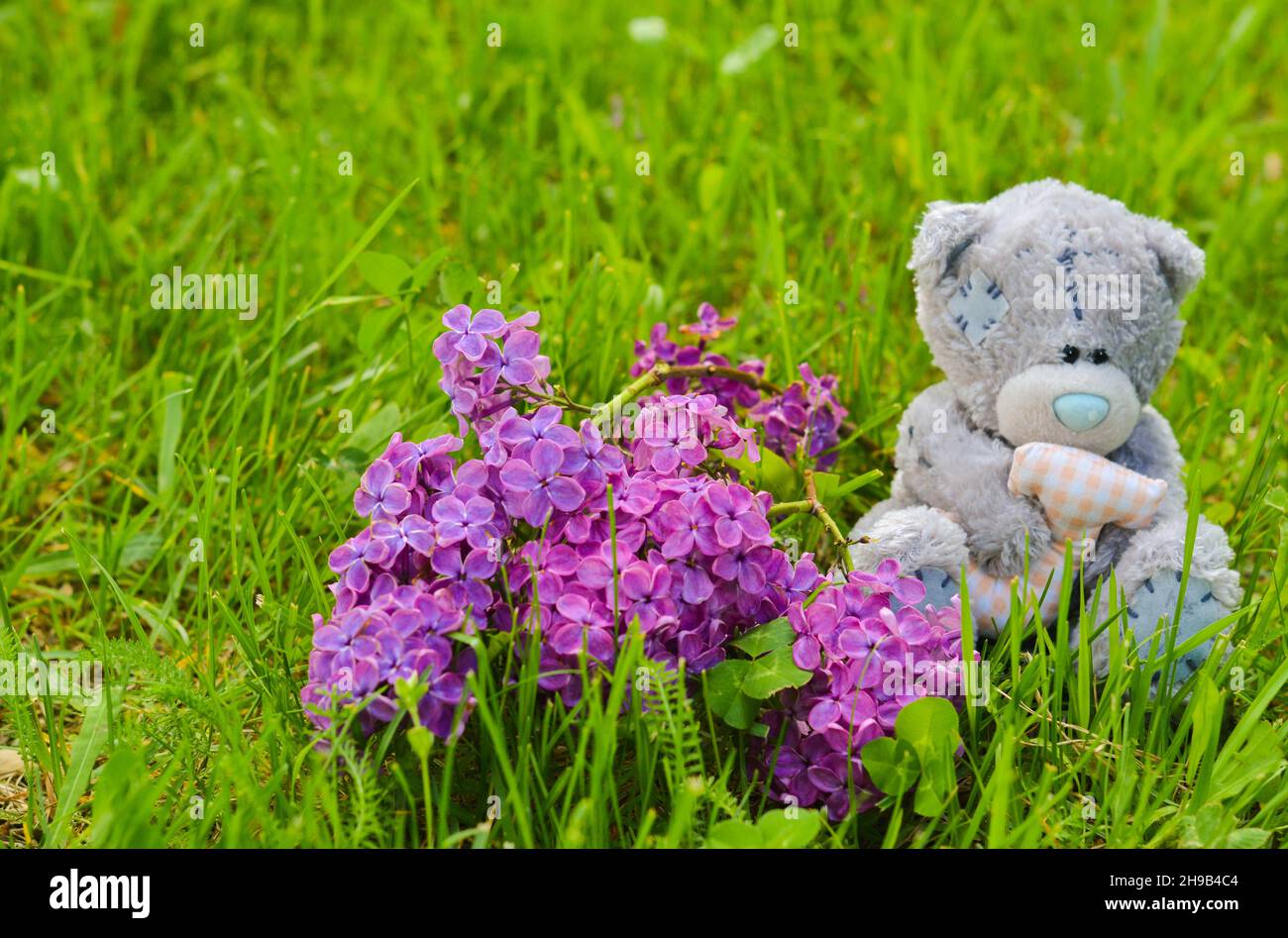 Teddy bear toy sitting on a green grass Stock Photo - Alamy