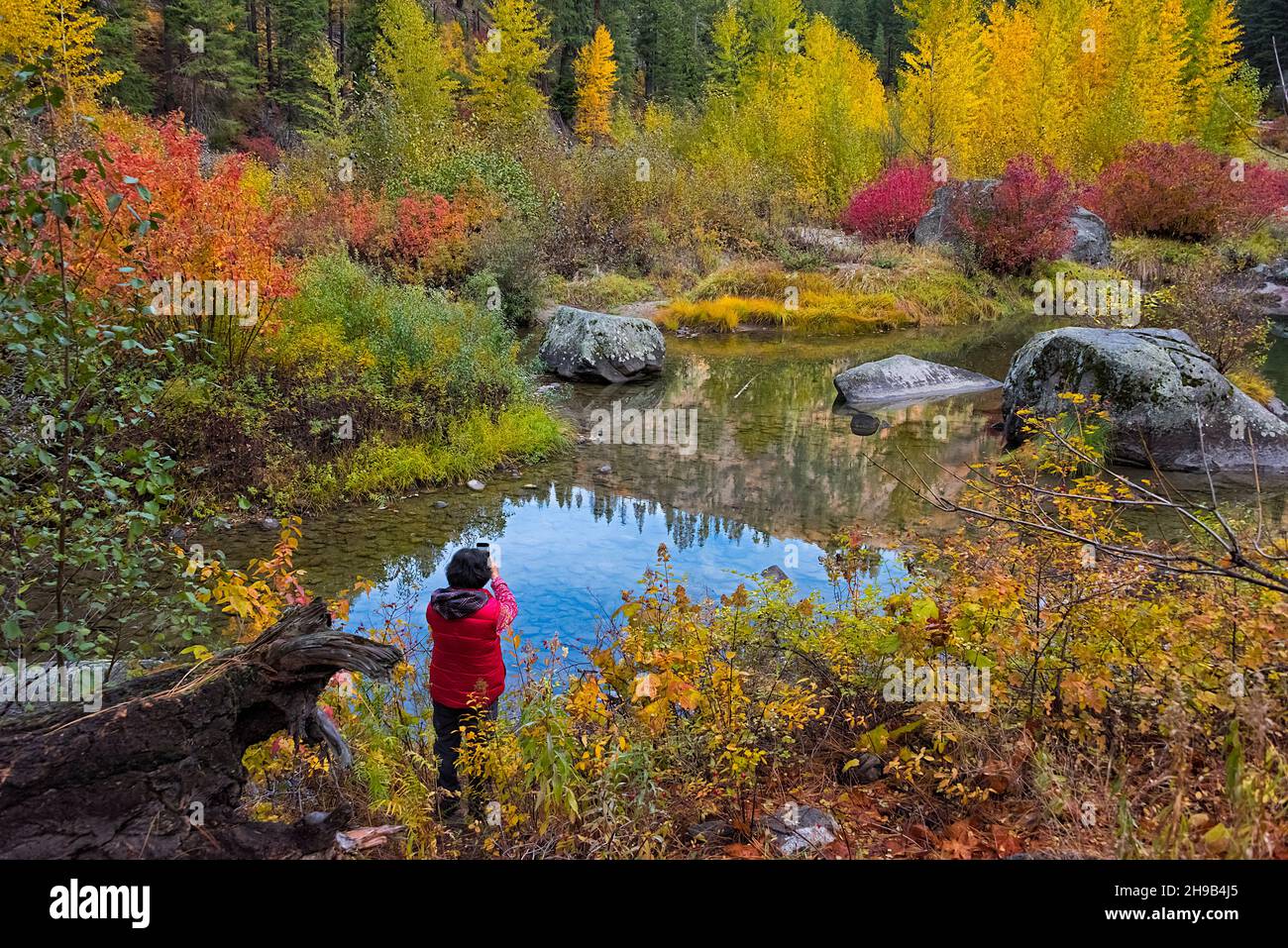 Tourist photographing autumn foliage along Wenatchee River, Leavenworth, Washington State, USA Stock Photo