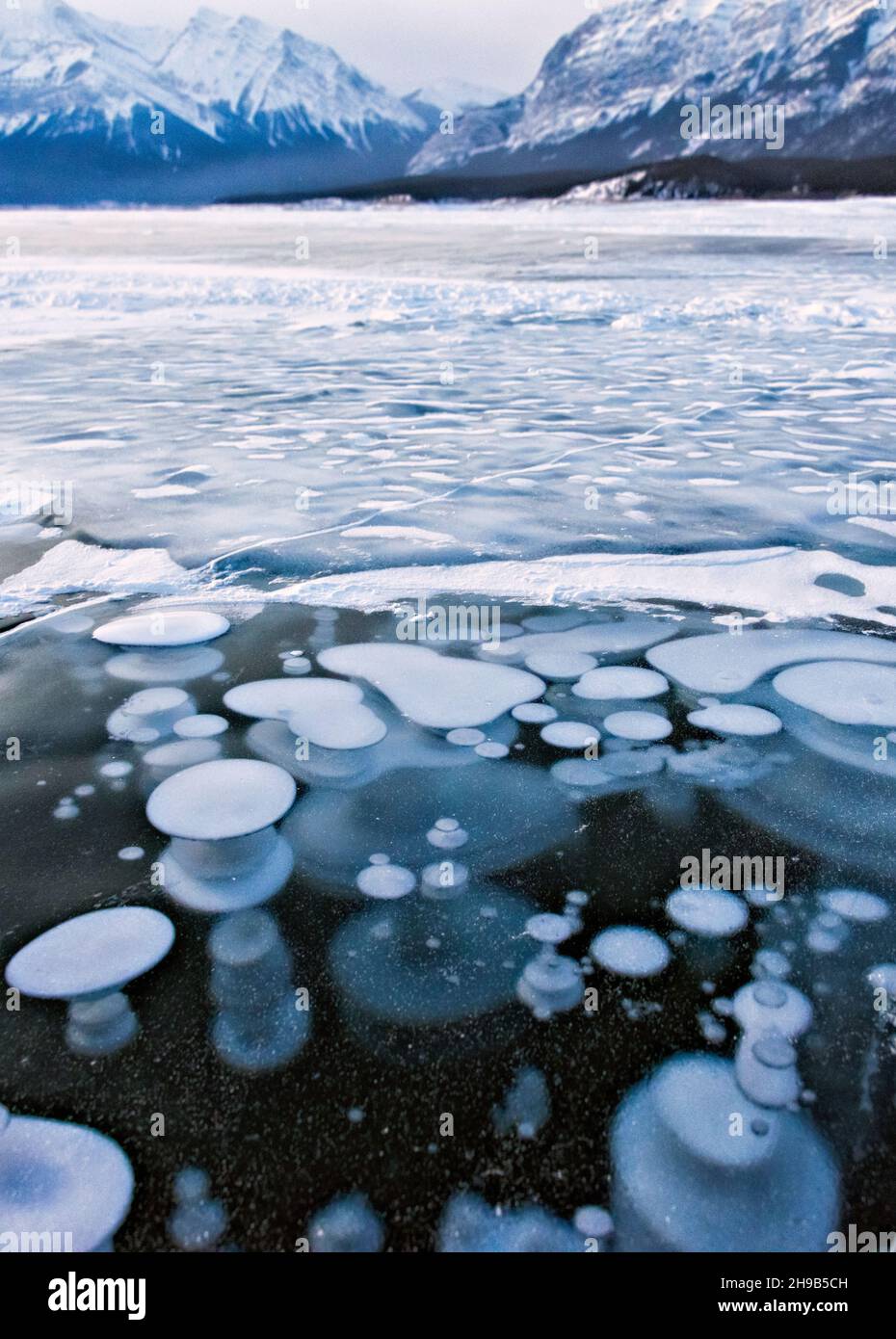 Frozen bubbles of Abraham Lake, Alberta, Canada Stock Photo