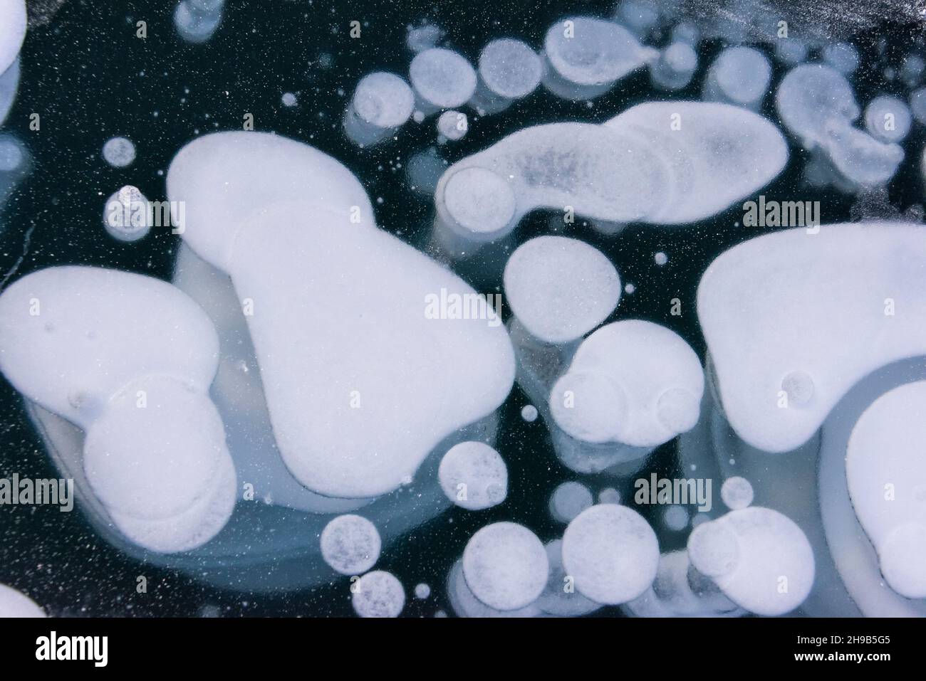 Frozen bubbles of Abraham Lake, Alberta, Canada Stock Photo