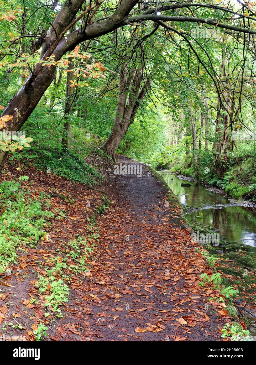 Autumn Footpath, Fall Landscape, Kinness Burn, Lade Braes Walk, St Andrews, Fife, Scotland, UK, GB. Stock Photo
