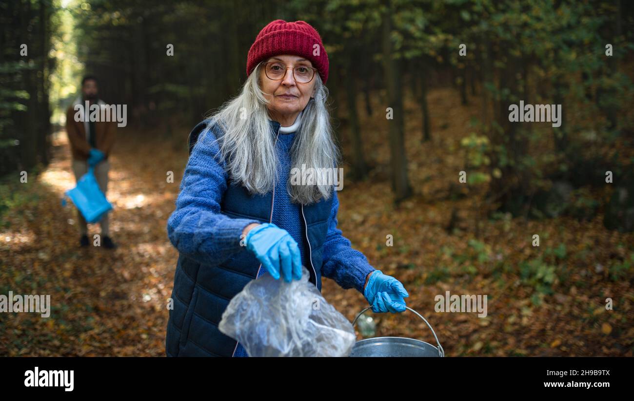 Senior woman volunteer looking at camera and cleaning up forest from
