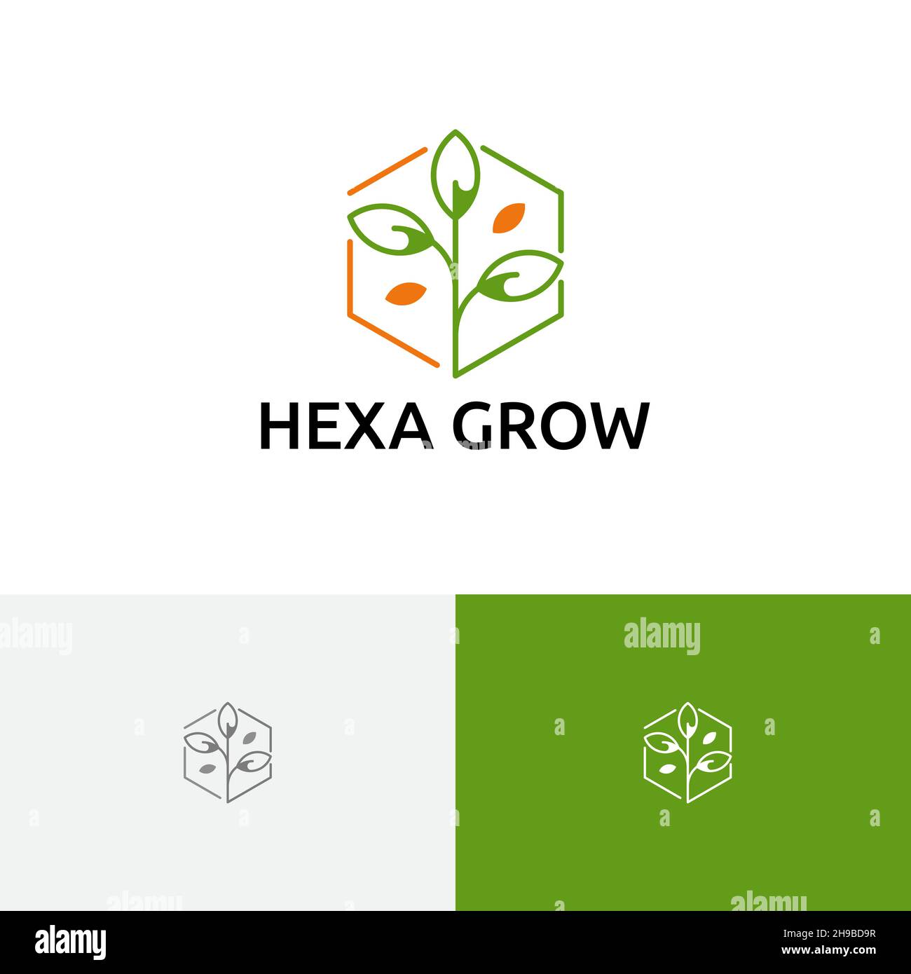 Hexagon Grow Plant Seed Nature Agriculture Logo Stock Vector