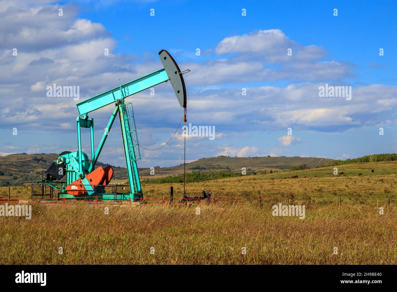 An oil pumpjack in Alberta, Canada. An oil pumjack is the overground drive for a reciprocating piston pump in an oil well. Stock Photo