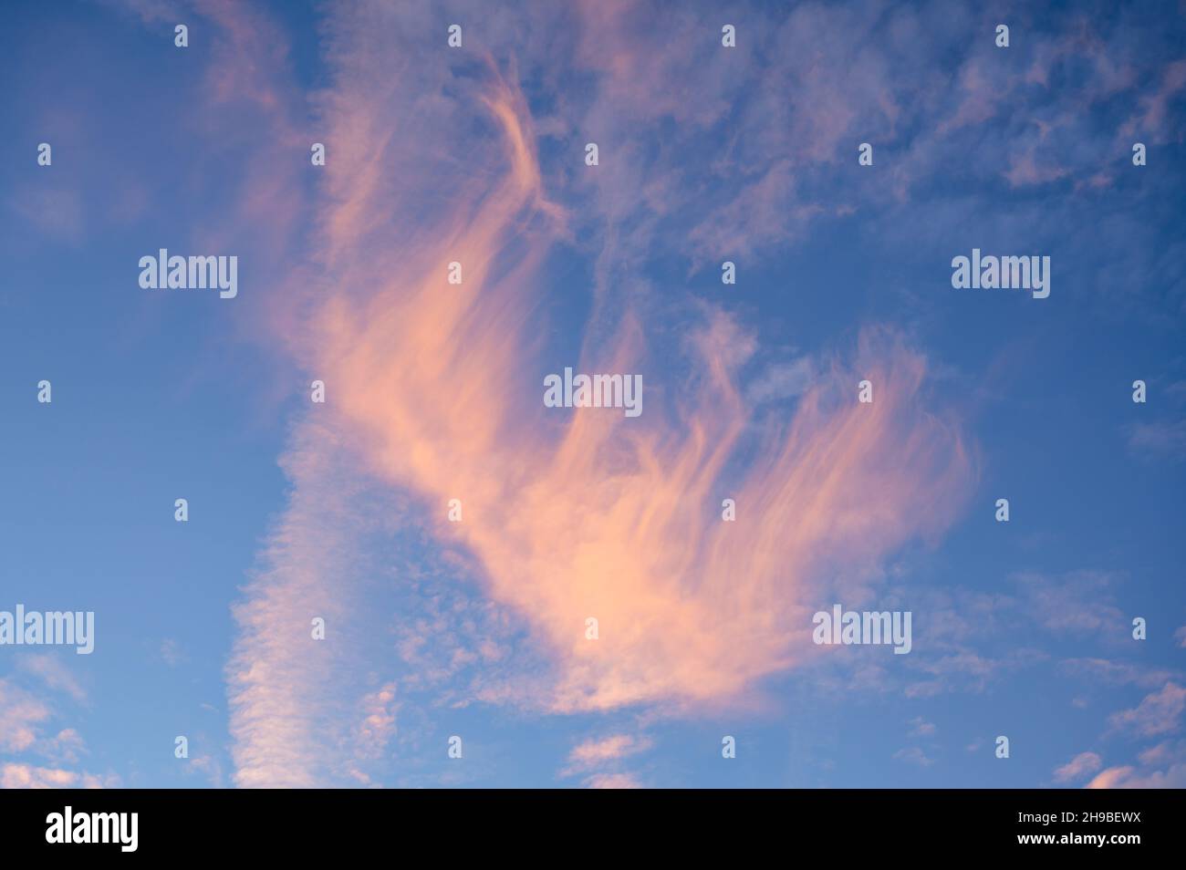 Wispy cloud formation with the morning sun lighting up the clouds with an orange tint. Stock Photo