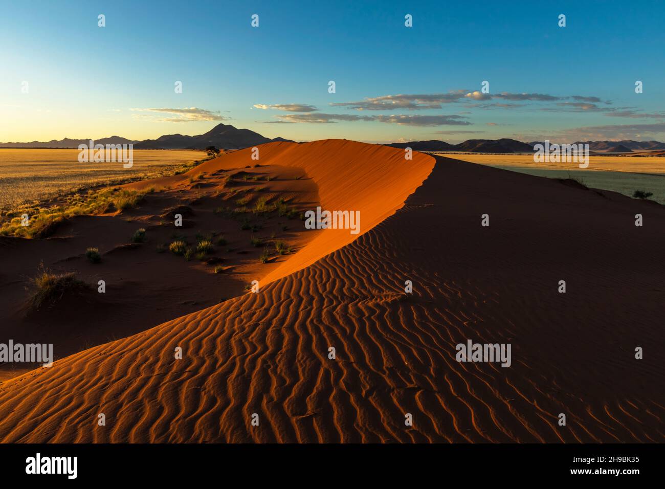Patterns of red sand hi-res stock photography and images - Alamy