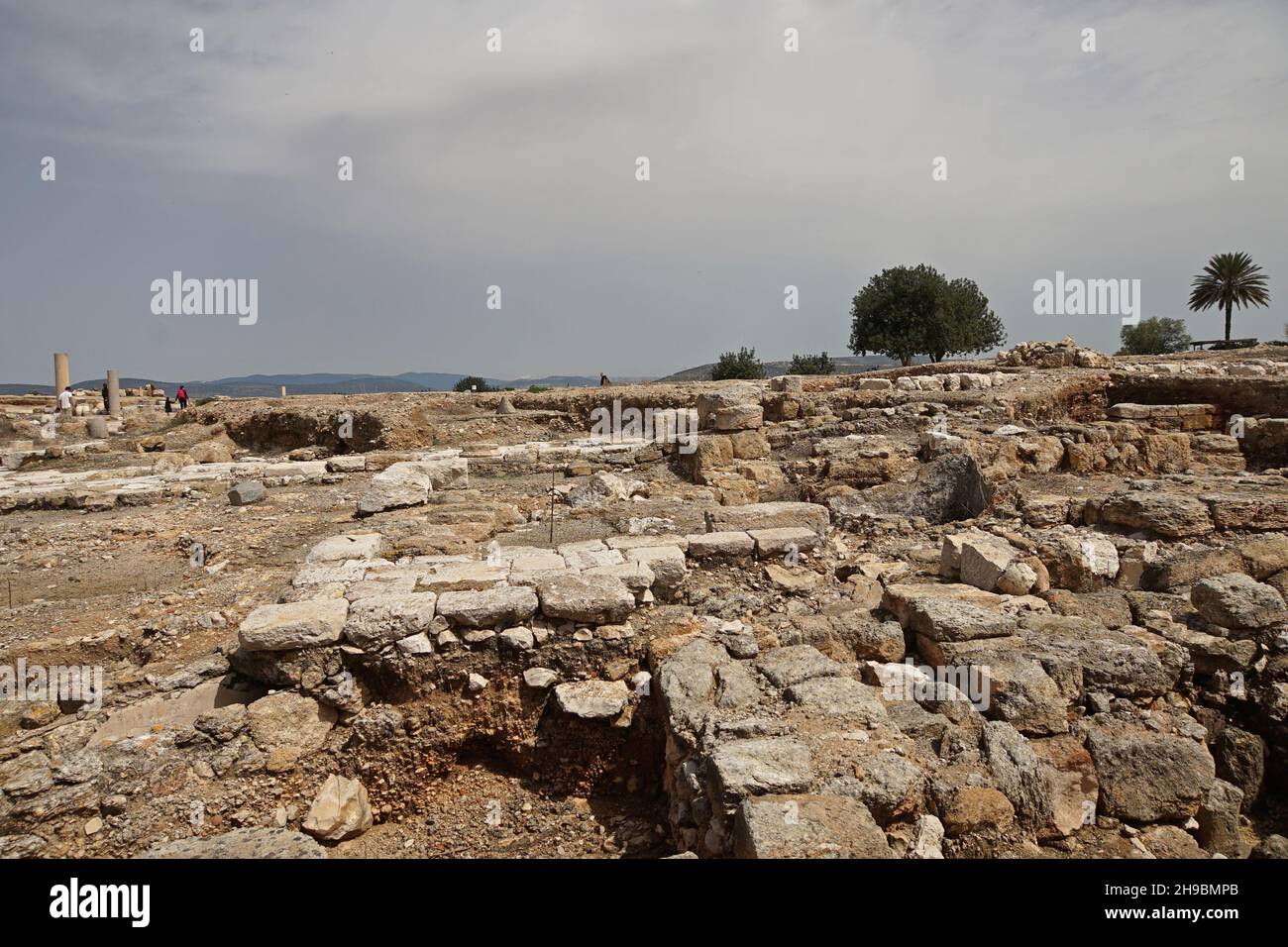 Sepphoris (or Zippori also Tzipori in the past called Diocaesaraea and, during the Crusades, le Saforie) is a former village and an archaeological sit Stock Photo
