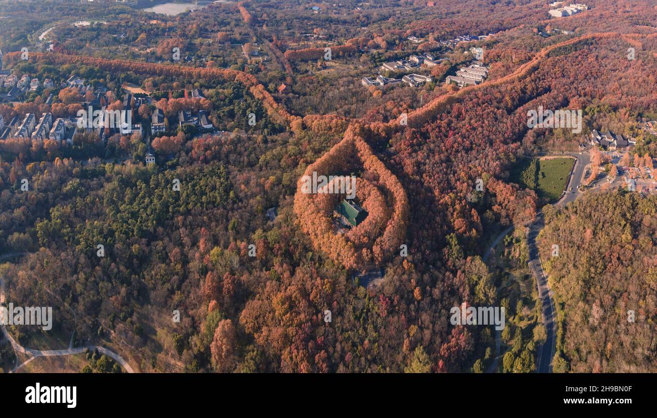 necklace road top view