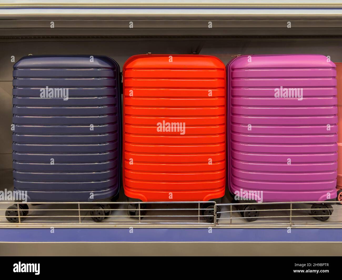 Modern wheeled suitcase in 3 different colors on display on the store shelf Stock Photo