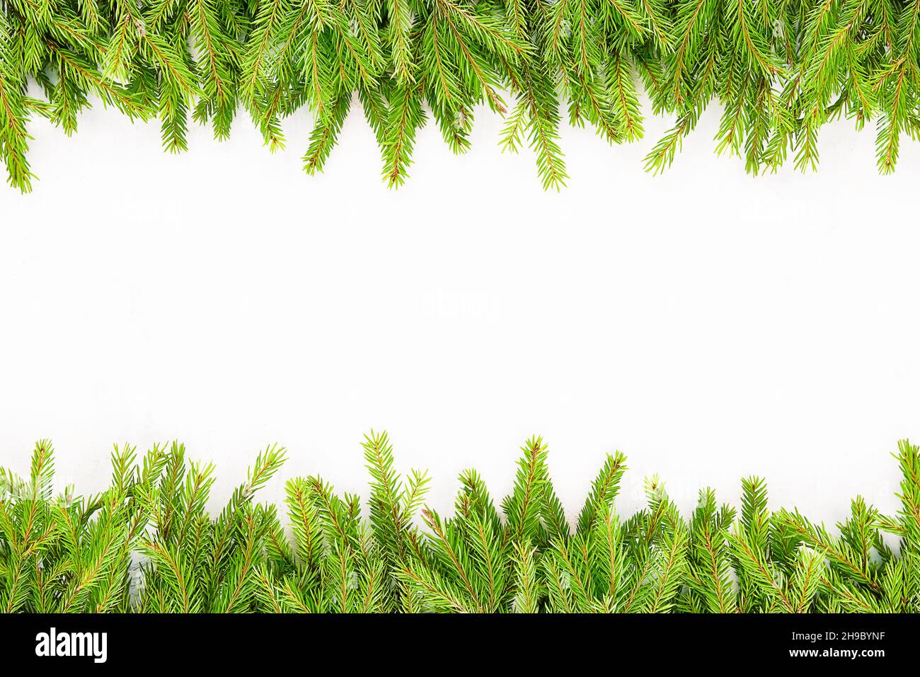 Christmas tree branches frame on a white background. Top view, copy ...