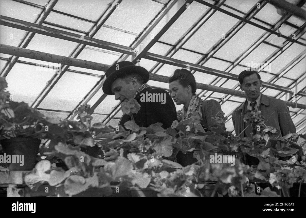 Warszawa, 1947-09-30. Wizyta prezydentów stolic pañstw s³owiañskich w Warszawie. Zwiedzanie szklarni Miejskich Zak³adów Hodowli Roœlin przy ul. Rakowieckiej. Nz. m.in. pani Maranne (C), ¿ona przewodnicz¹cego Zwi¹zku Miast Francuskich Roberta Maranne'a.  bk/mgs  PAP      Warsaw, Sept. 30, 1947. Mayors of capitals of Slavonic countries in Warsaw. A visit to greenhouses of the Municipal Plant Cultivation Center on Rakowiecka Street. Pictured: Ms Maranne (center), wife of the head of the Union of French Towns Robert Maranne.   bk/mgs  PAP Stock Photo