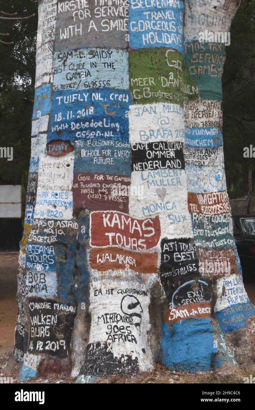 The Internet Tree. In an area where communications are sometimes unreliable, messages and advertisements are painted on a baobab tree. Lamin, The Repu Stock Photo