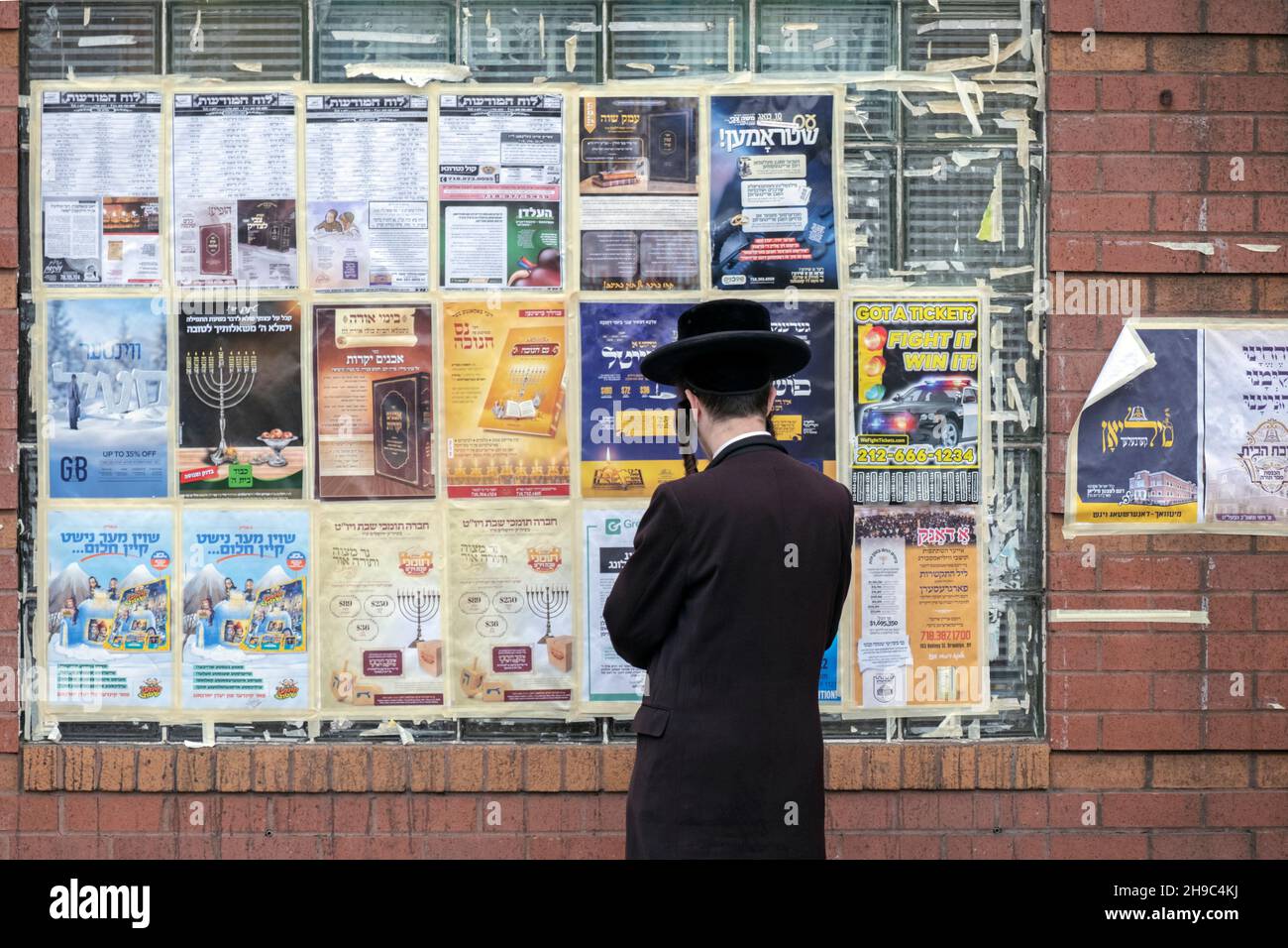 A Hasidic Jewish man with long curly peyot reads primarily Yiddish
