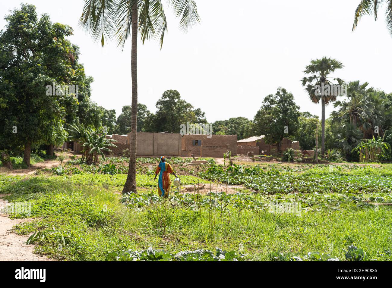African woman work field hi-res stock photography and images - Alamy