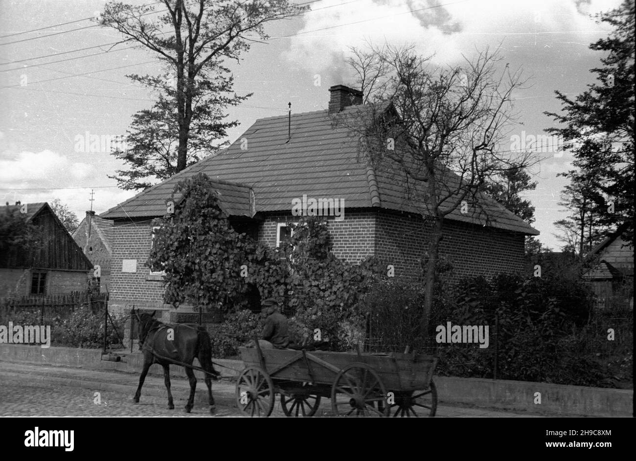 Lisków, 1947-10. Wóz konny na g³ównej drodze wsi. wb/gr  PAP    Dok³adny dzieñ wydarzenia nieustalony.    Liskow, Oct. 1947. A horse-driven cart on the village's main road.  wb/gr  PAP Stock Photo