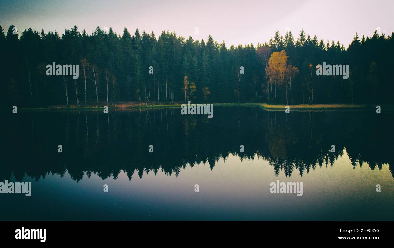 Scenic forest at the lake reflecting the trees Stock Photo - Alamy