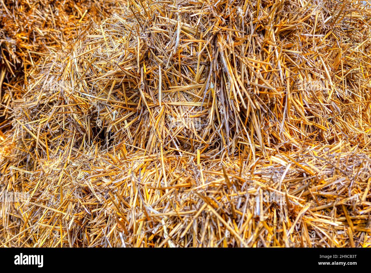 Straw background . Hay for farm animals feeding Stock Photo Alamy