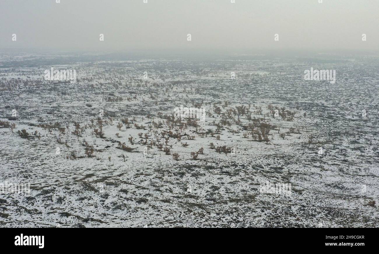 (211206) -- WUSU, Dec. 6, 2021 (Xinhua) -- Aerial photo taken on Dec. 4, 2021 shows a view of the Ganjia Lake forest region in Wusu City of northwest China's Xinjiang Uygur Autonomous Region. As winter approaches, authorities have been paying more attention to forest fire prevention in the Ganjia Lake forest region in the west of Junggar Basin. Forest rangers have also stepped up their patrolling efforts. In the Ganjia Lake forest region, there are 18 forest management and protection stations that are responsible for forest fireproofing, management of forest resources and grassland and wil Stock Photo