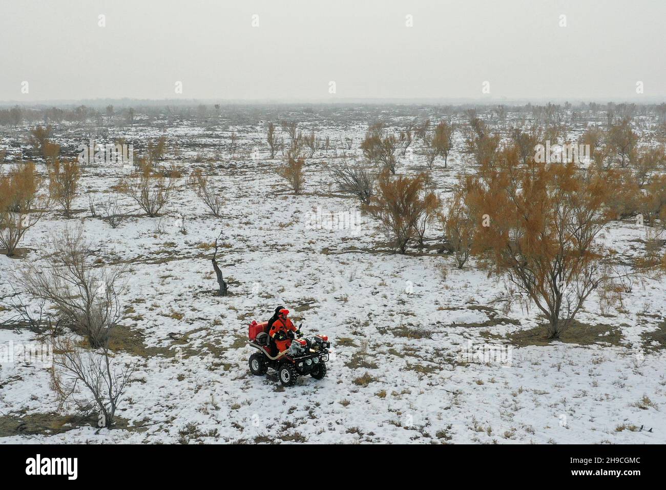 (211206) -- WUSU, Dec. 6, 2021 (Xinhua) -- Aerial photo taken on Dec. 4, 2021 shows staff members patrolling the Ganjia Lake forest region in Wusu City of northwest China's Xinjiang Uygur Autonomous Region. As winter approaches, authorities have been paying more attention to forest fire prevention in the Ganjia Lake forest region in the west of Junggar Basin. Forest rangers have also stepped up their patrolling efforts. In the Ganjia Lake forest region, there are 18 forest management and protection stations that are responsible for forest fireproofing, management of forest resources and gr Stock Photo