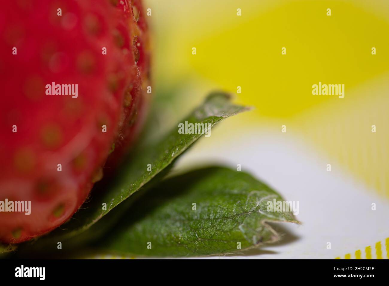 Strawberry seeds up close hires stock photography and images Alamy