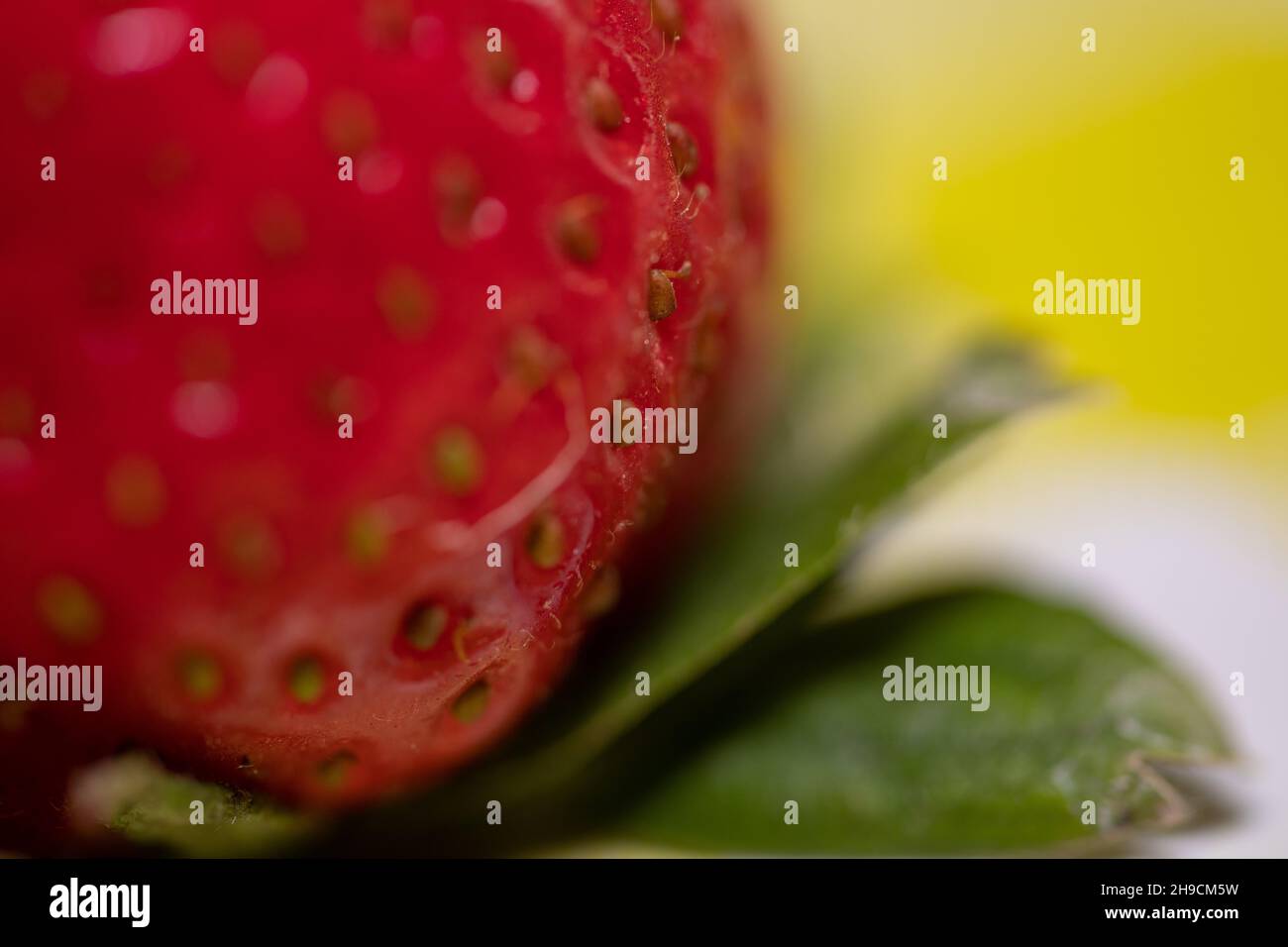 Close up of a strawberry Stock Photo