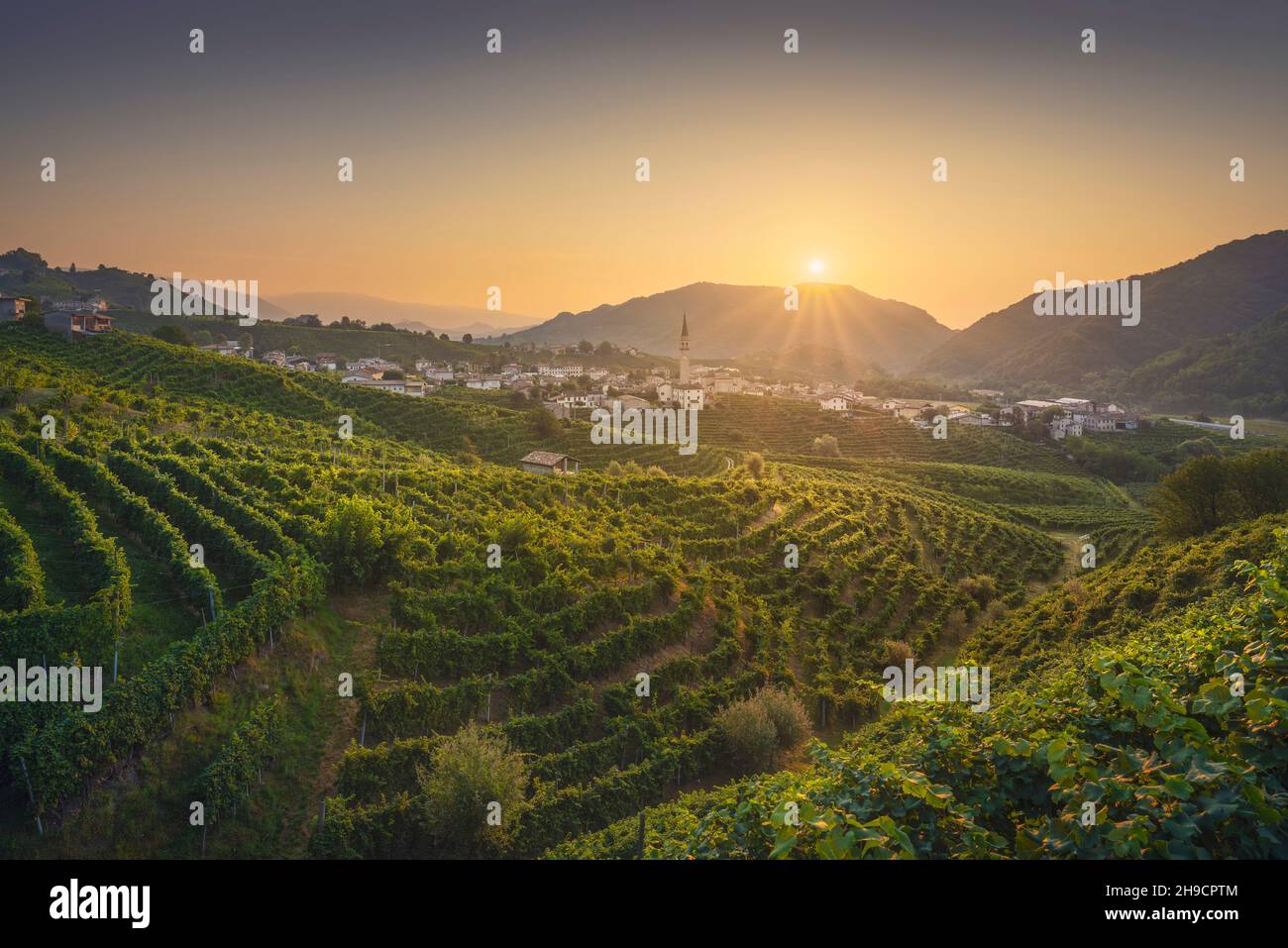 Prosecco Hills, vineyards and Guia village at dawn. Unesco Site. Valdobbiadene, Treviso, Veneto, Italy, Europe. Stock Photo