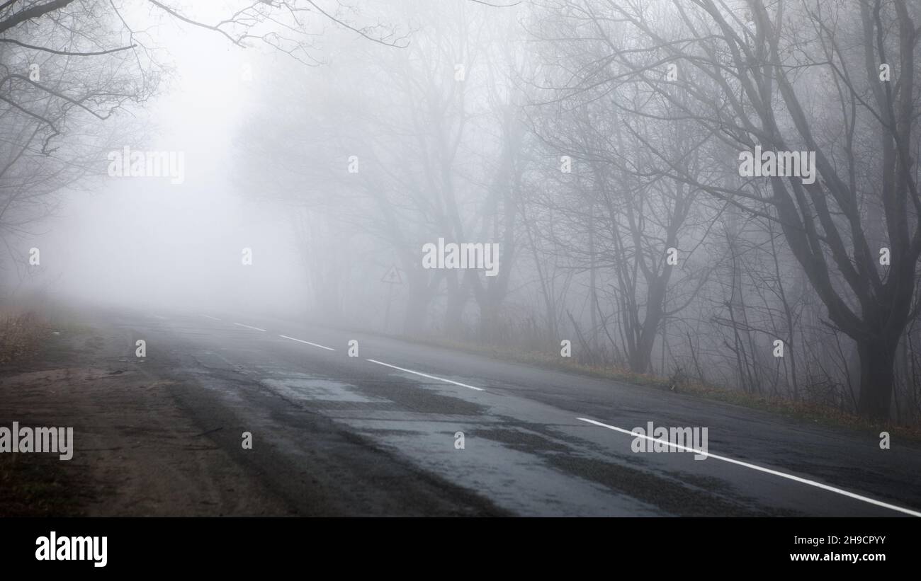 Road in autumn foggy forest in rainy day. Landscape with empty asphalt ...