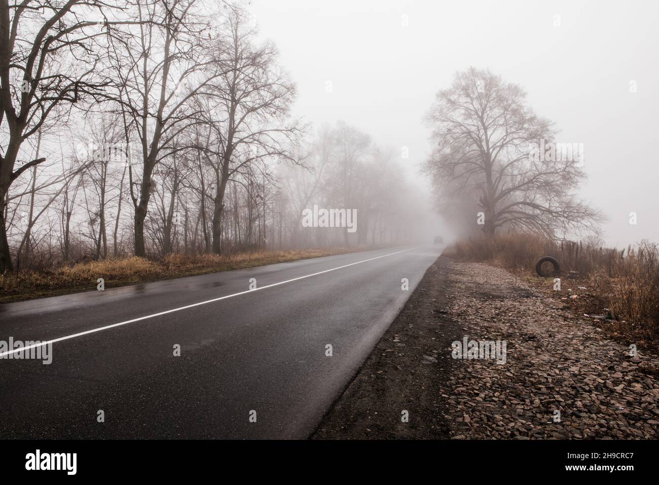 Road in autumn foggy forest in rainy day. Landscape with empty asphalt ...