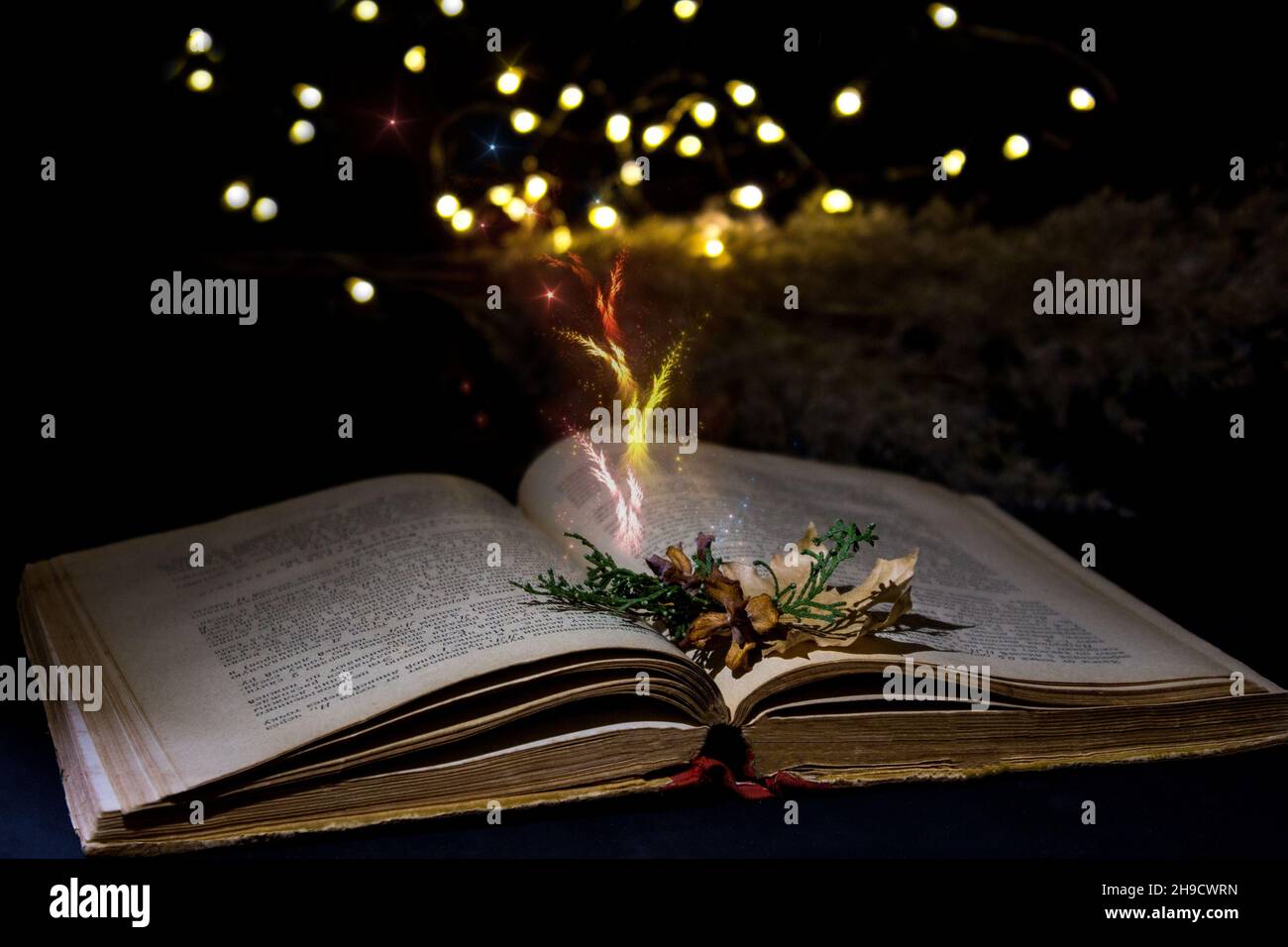 Opened magic book with magic light on a dark background, invitation to study literatures. The magic of reading or bible and religion. Concept of relig Stock Photo