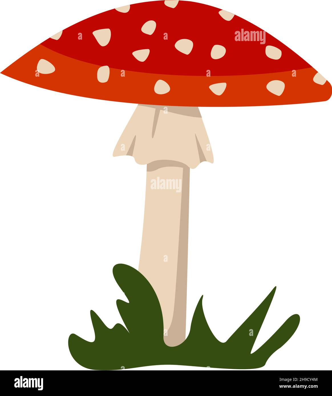 Amanita mushrooms with red caps and white spots. Stock Vector