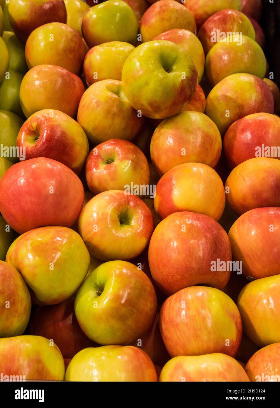 Honeycrisp apples for sale in a grocery store in North Central Florida