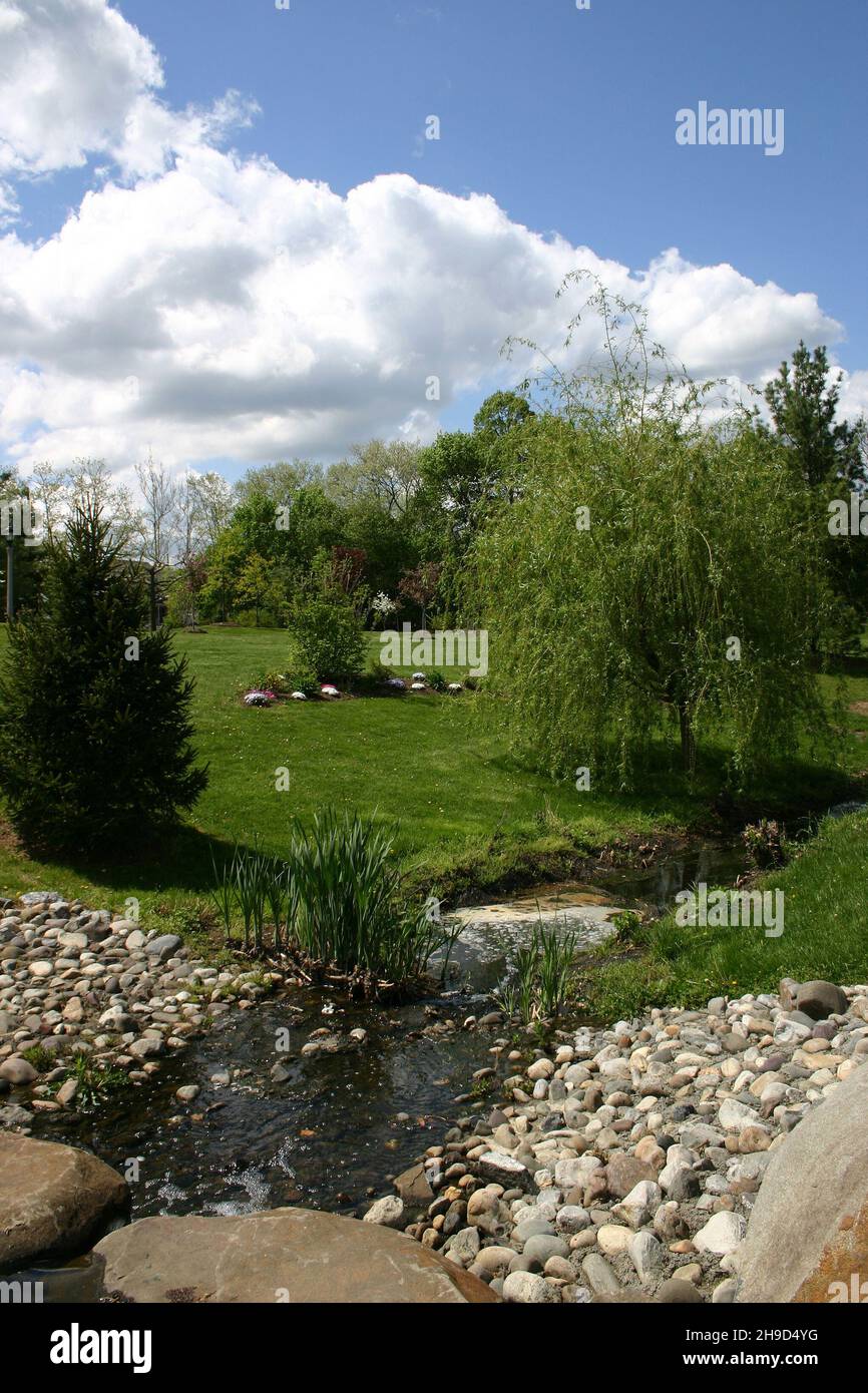 Beautiful stream in Sayen Botanical Gardens, Hamilton, NJ, USA Stock Photo