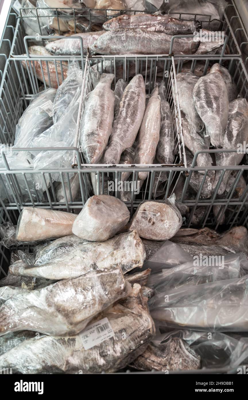 Frozen Seafood and fish in fridge at the fish market. Healthy eating