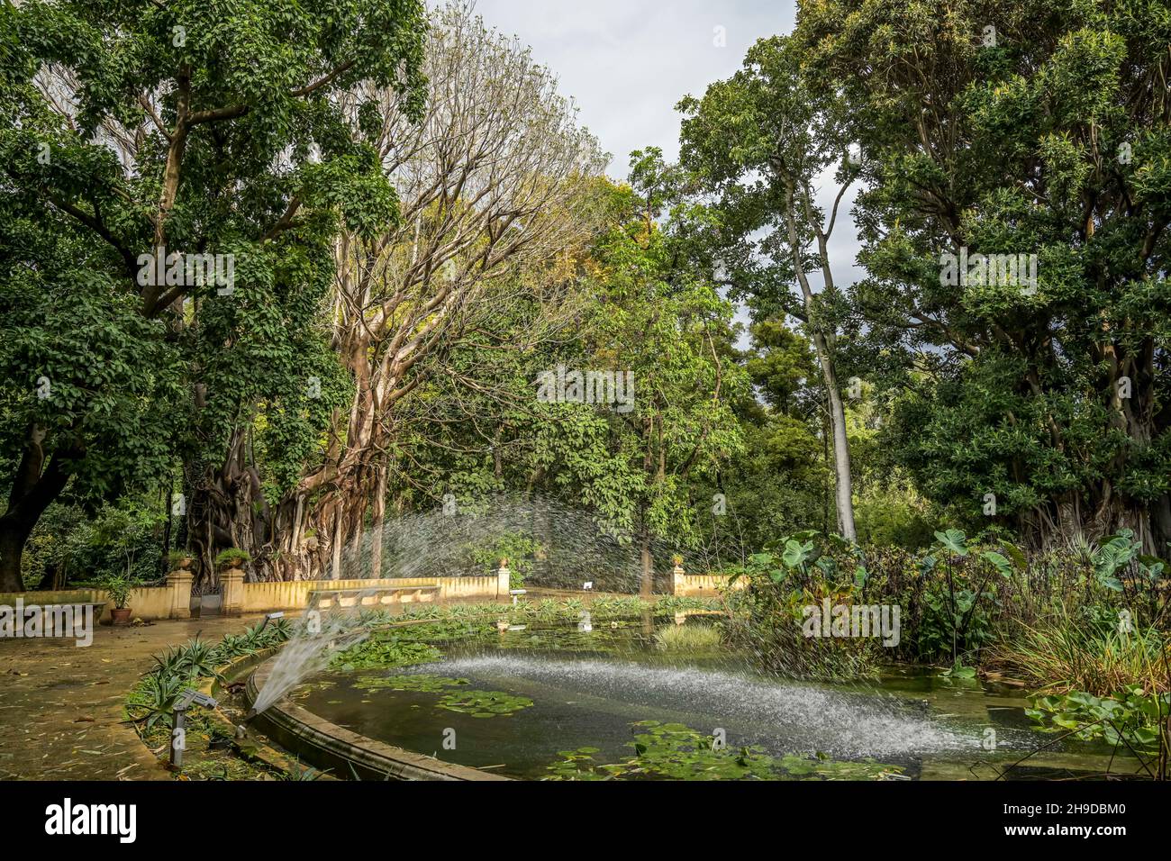 Springbrunnen am Aquarium, Botanischer Garten, Palermo, Sizilien