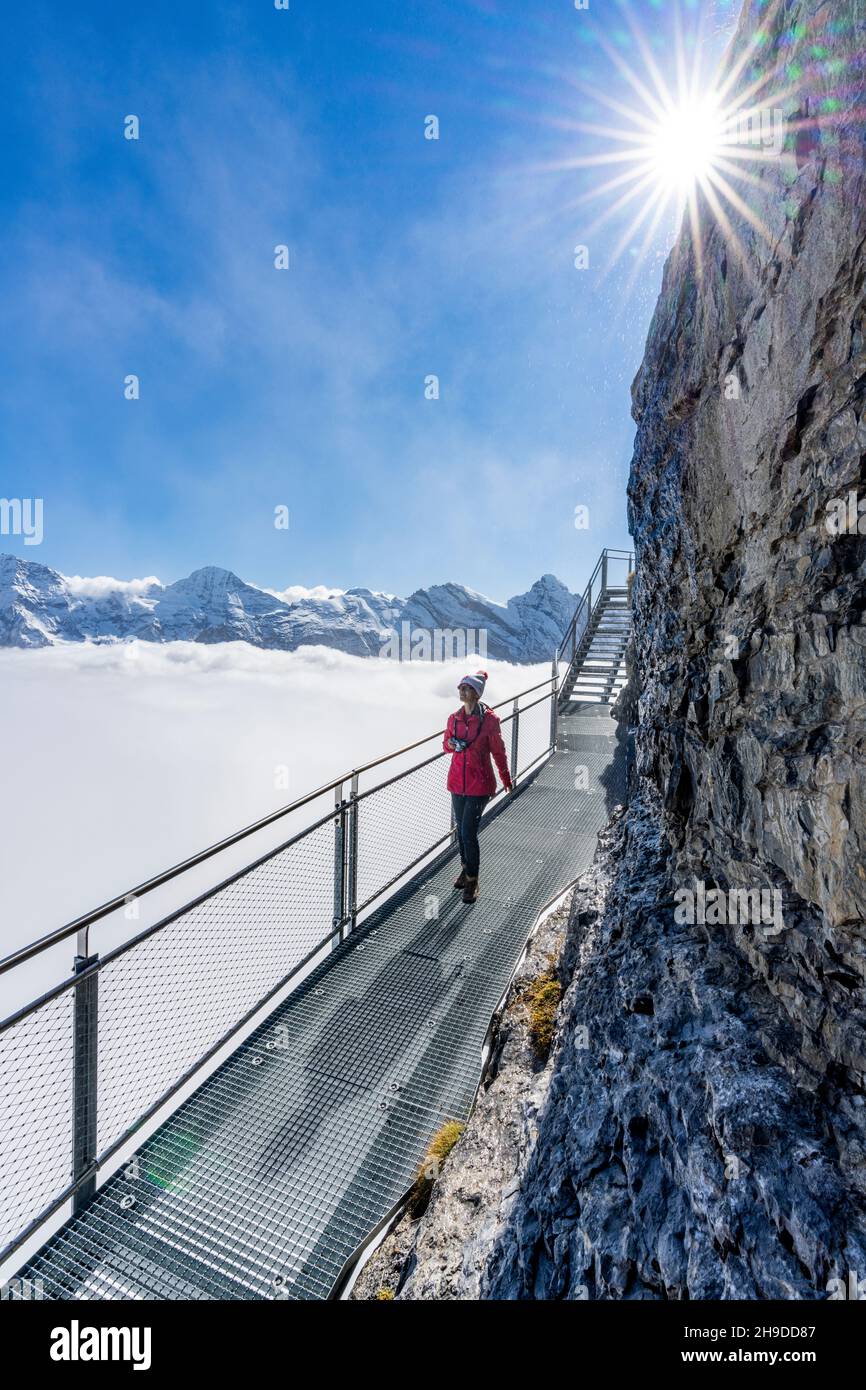 Woman admiring Jungfrau mountain in the fog from the Thrill Walk panoramic walkway, Murren Birg, Bern, Switzerland Stock Photo