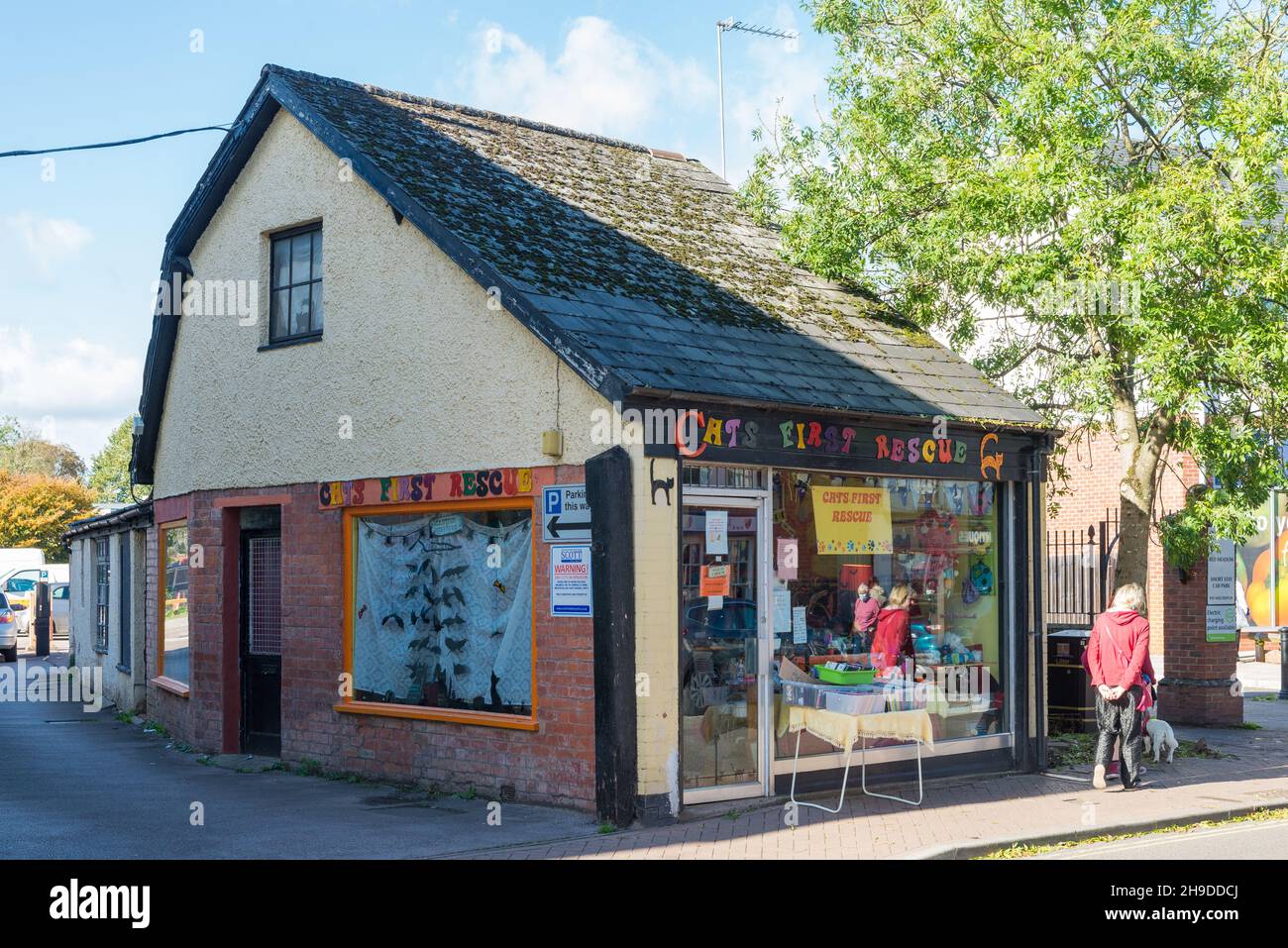 Cats First Rescue charity shop in RossonWye, Herefordshire Stock