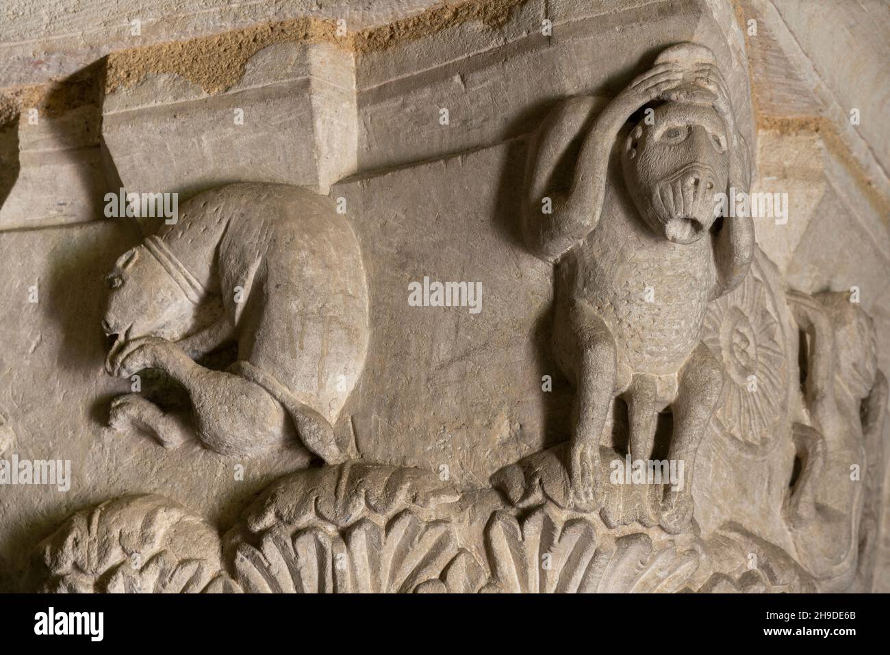 Neuvy-Saint-Sépulchre, Stiftskirche St-Jacques, Rotunde, Säulenkapitell mit Affen und Fabelwesen Stock Photo
