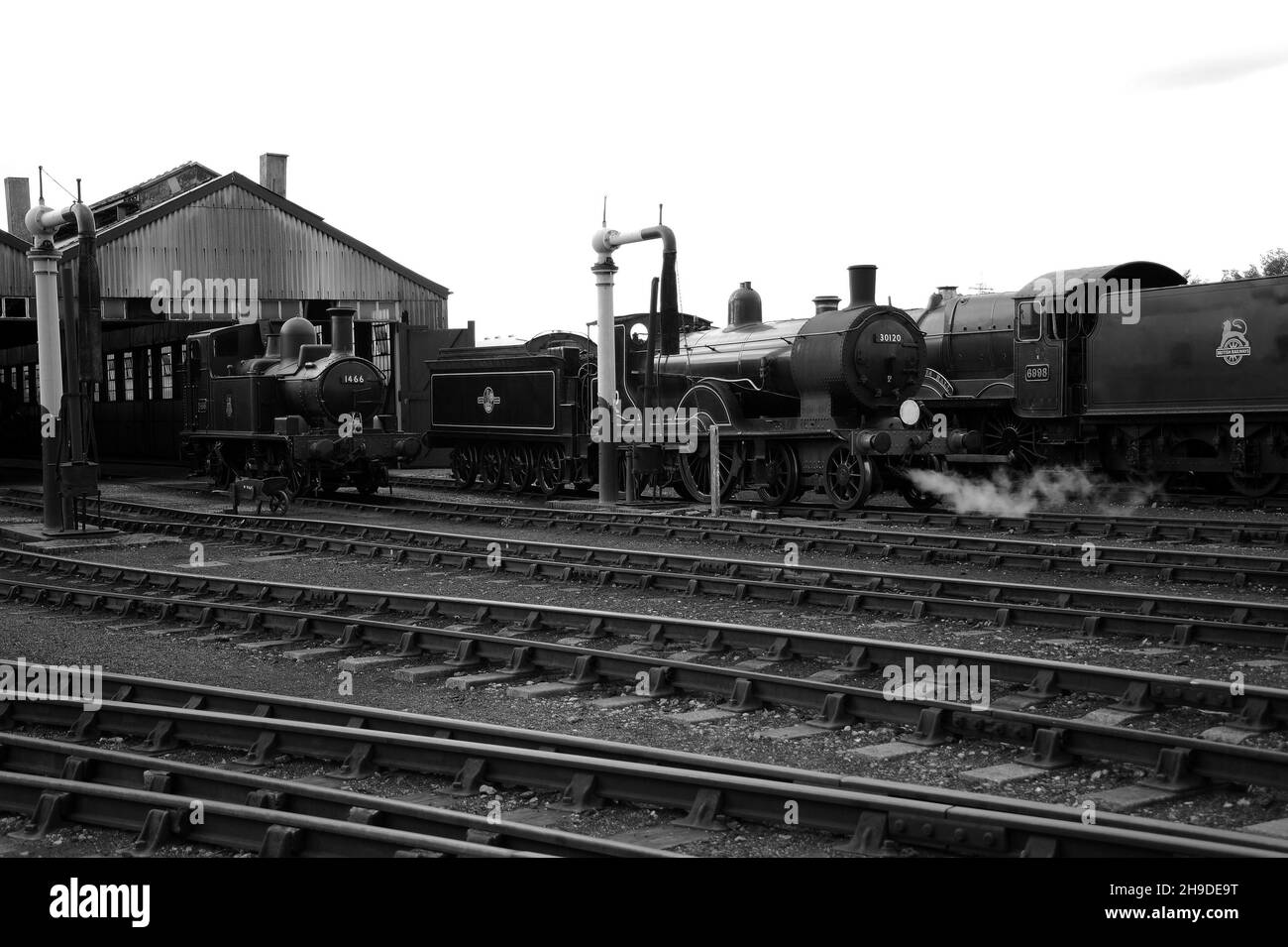 '1466', '30120' and 'Burton Agnes Hall' on shed at Didcot. Stock Photo