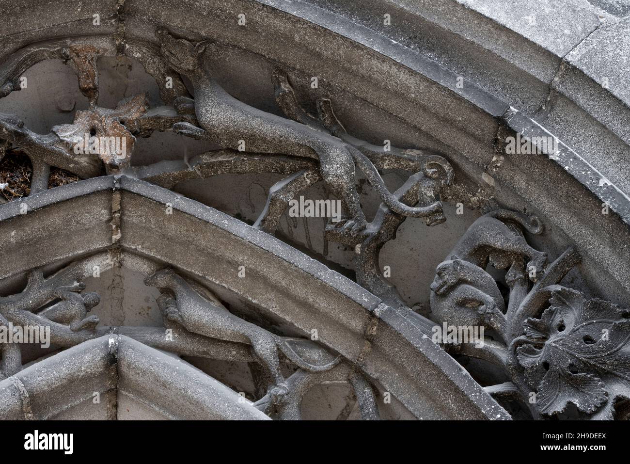 Chaumont, Basilika St-Jean-Baptiste, Portal am südlichen Querhaus, figürliche Archivolten, Weinreben und Fabelwesen Stock Photo