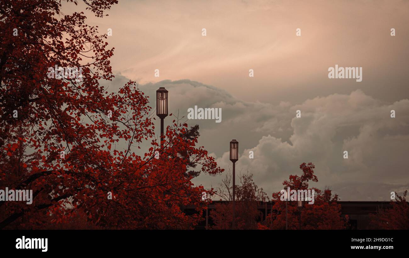City park street clouds hi-res stock photography and images - Alamy
