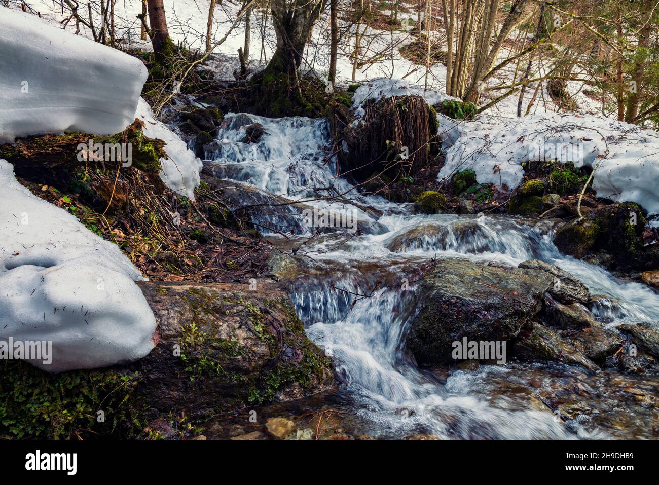 Streams of melted water in the mountains. Water balance in nature. Waterfall in the winter mountains Stock Photo