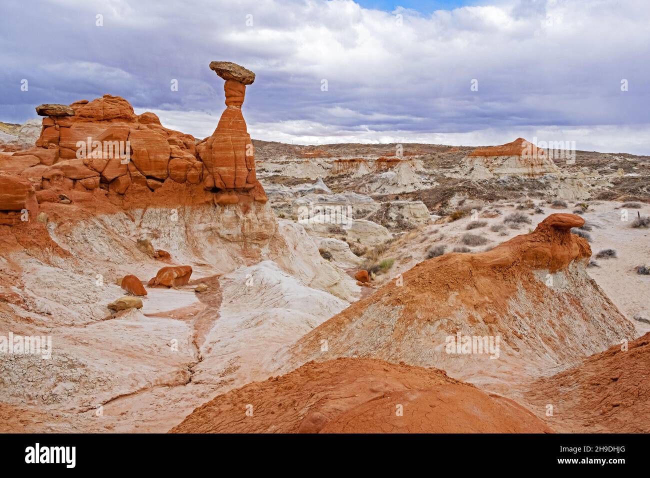 Toadstool Hoodoos at Grand Staircase–Escalante National Monument along US-89 between Page and Kanab, Kane County, Utah, United States, USA Stock Photo