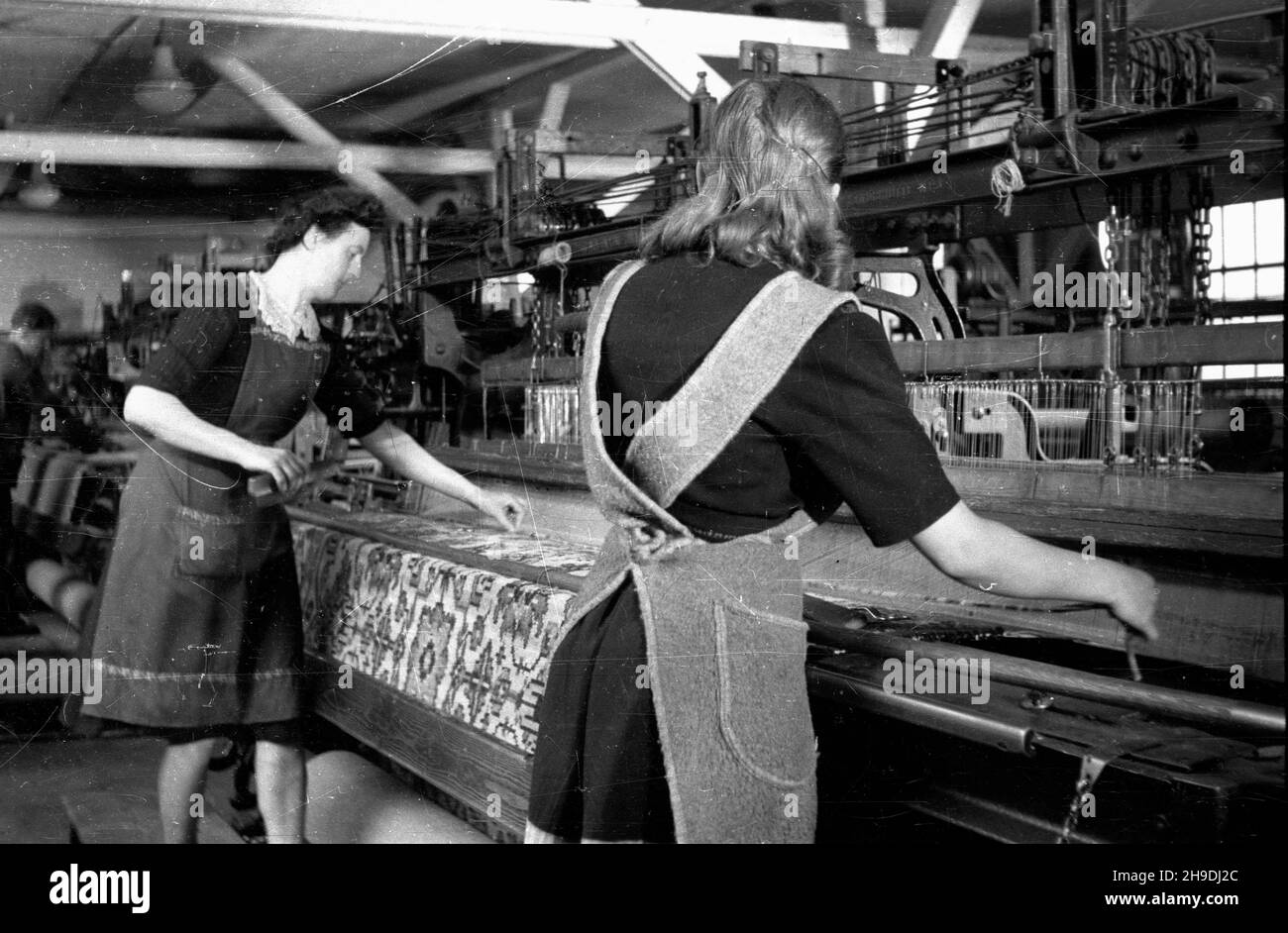 Bielawa, 1947-10. Pañstwowe Zak³ady Przemys³u Bawe³nianego. Nz. w³ókniarki przy kroœnie do produkcji dywanów. ps/gr  PAP    Dok³adny dzieñ wydarzenia nieustalony.      Bielawa, Oct. 1947. State Cotton Industry Plant. Pictured: a textile workers at a carpet production loom.  ps/gr  PAP Stock Photo
