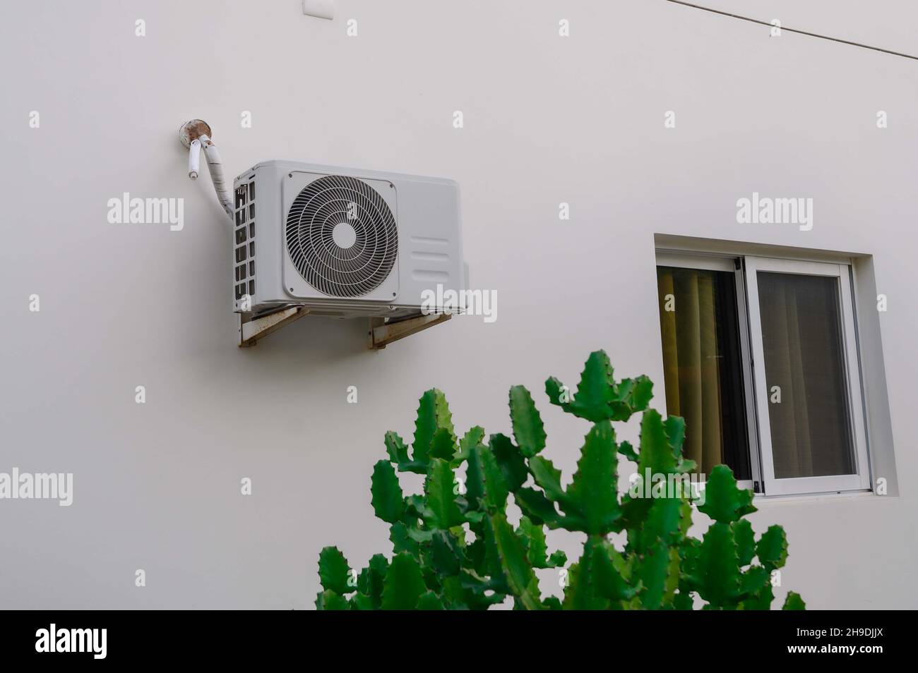 Air conditioner on white wall. Cactus on first plan. Photo HD with