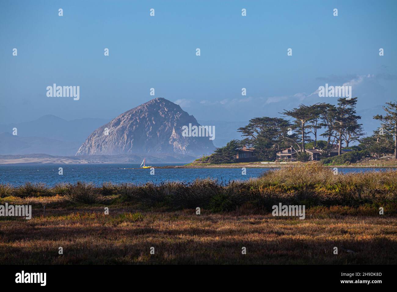 Wetlands in Morro Bay estuary, San Luis Obispo County, California, USA Stock Photo