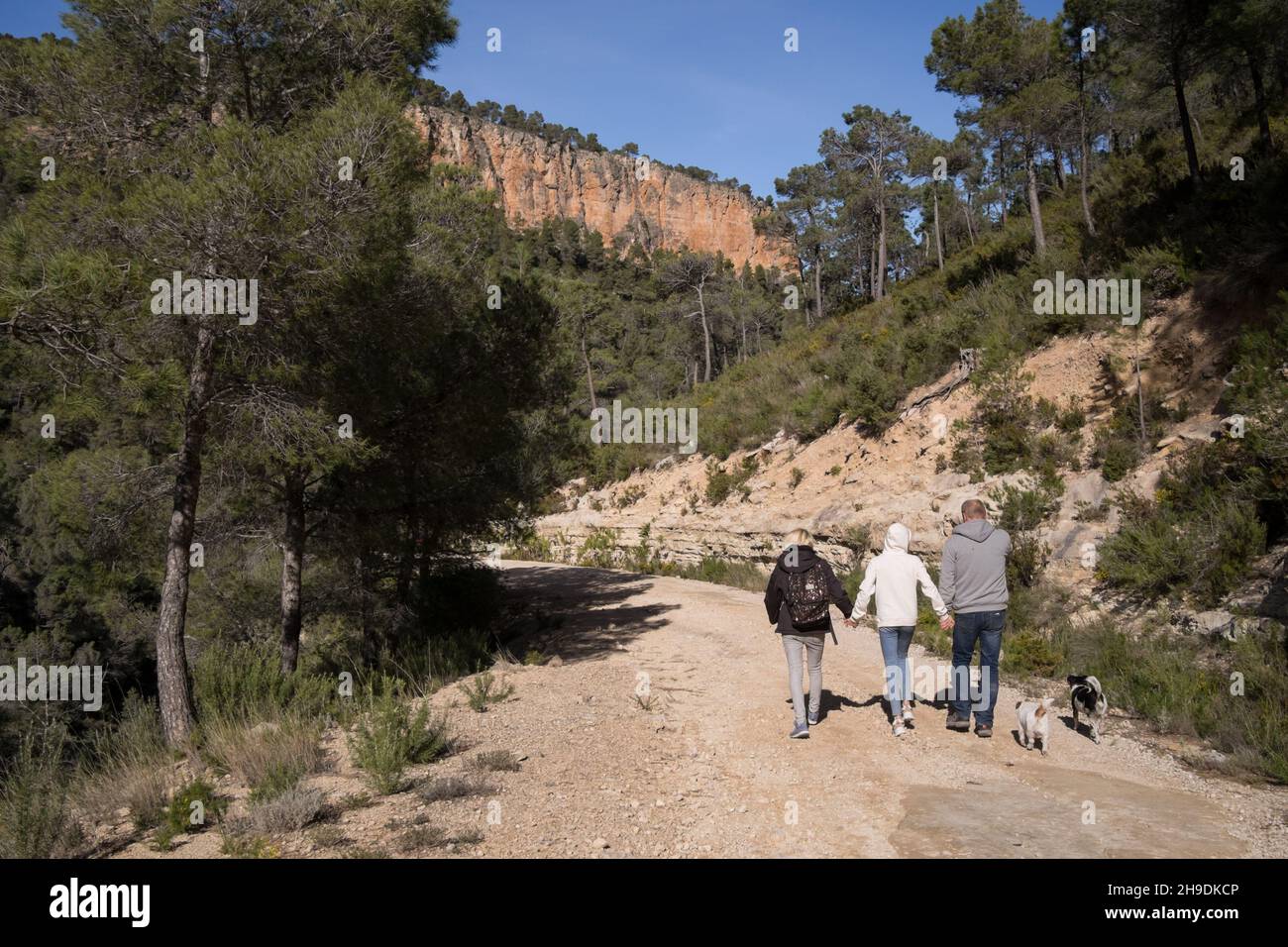 A family with two dogs walking down a gravel road in tree covered hills of Valenciana region in Spain Stock Photo